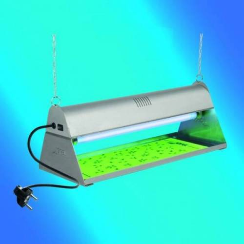 Exterminador De Insectos Por Adherencia