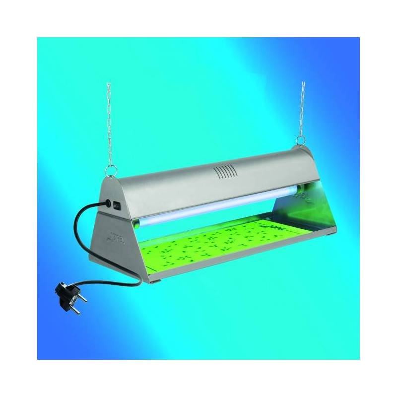 Exterminador De Insectos Por Adherencia